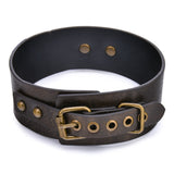  Vintage-Looking Petplay Collar 