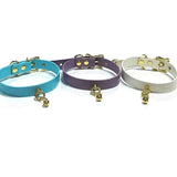  Soft Dog Collars for Girls 