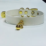  Soft Dog Collars for Girls 