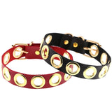  Stylish Submission Collar 