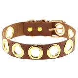  Stylish Submission Collar 