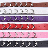  Leather D Ring Collar 