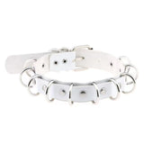  Leather D Ring Collar 