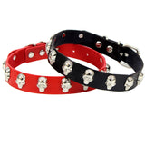  Skull-Studded Collar for Humans 