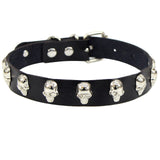  Skull-Studded Collar for Humans 