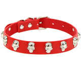  Skull-Studded Collar for Humans 