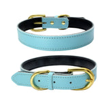  Simple Blue Leather Collar 