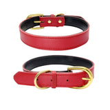  Plain Thick Leather Collar 