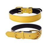  Plain Thick Leather Collar 