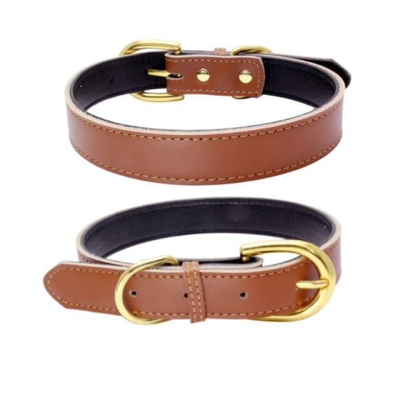 Simple Brown Leather Collar