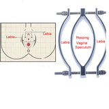  Clit Torture Pussy Leash 