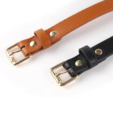  Disciplinary Human Leash Collar 