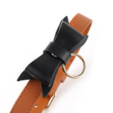  Disciplinary Human Leash Collar 