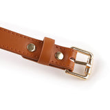  Disciplinary Human Leash Collar 