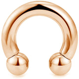  Hardcore Thrusts Prince Albert Curved Barbell 