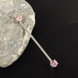  Pinky and Perky Long Nipple Barbells 