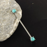  Pinky and Perky Long Nipple Barbells 