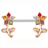  Secret Treasures Nipple Piercings 