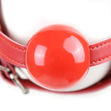  Slave Torment Gag Mask 