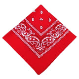  Printed Bandana Cloth Gag 