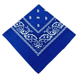  Printed Bandana Cloth Gag 