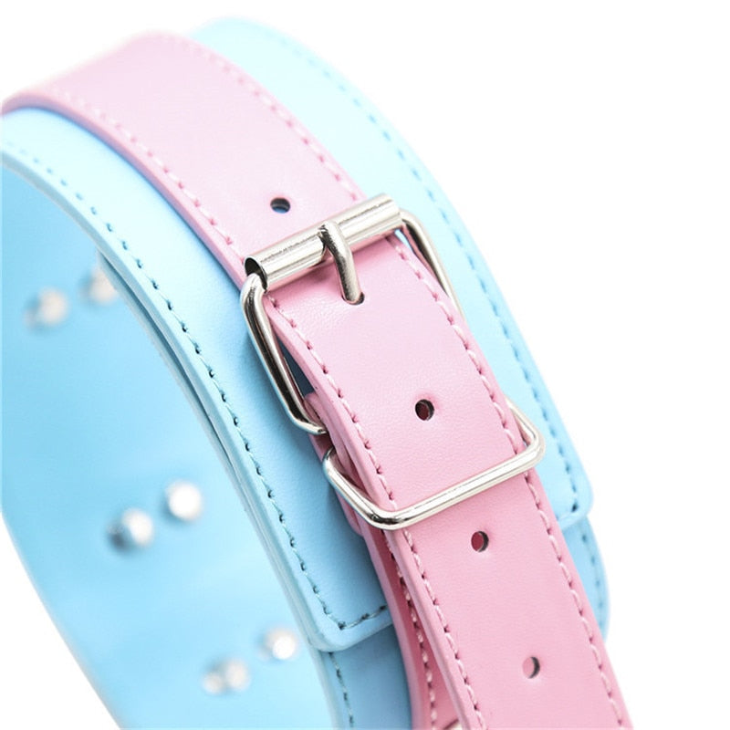 Fancy Colored Collar and Leash Set