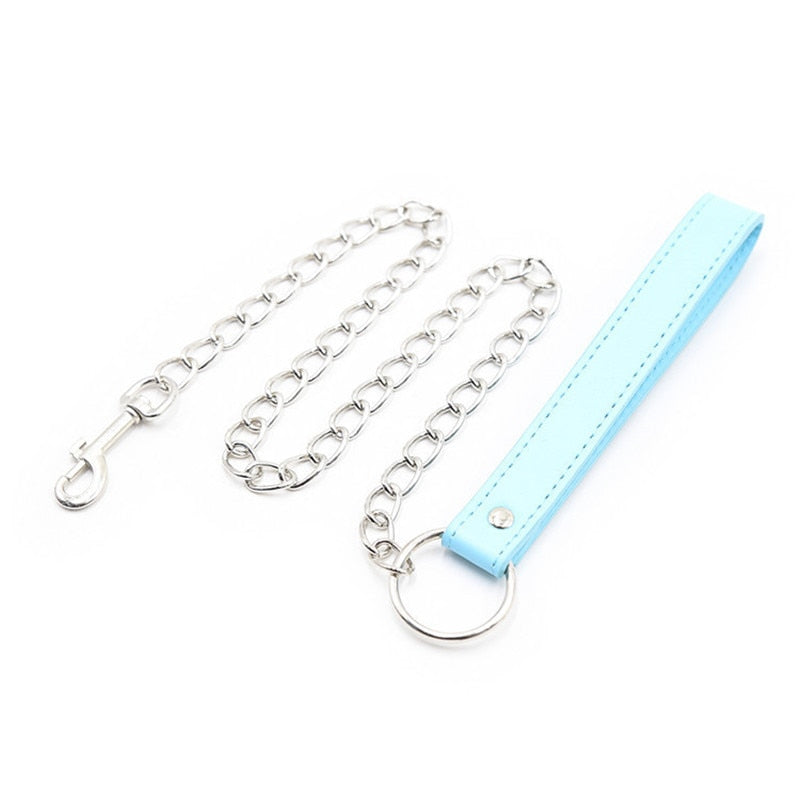 Fancy Colored Collar and Leash Set