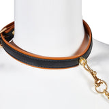  Fancy Collar and Chain 