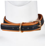  Fancy Collar and Chain 