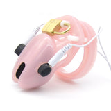  Lockdown Estim Cock Cage 