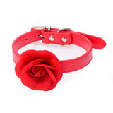  Submissive-Friendly Female Collar 