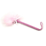  Naughty Foreplay Tickle Toy 