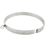  Stainless Steel Turian Collars 