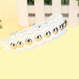  Studded Leather Collar for Humans 